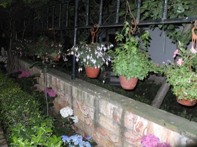 Name:  DSCF9139.jpg
Views: 270
Size:  59.4 KB