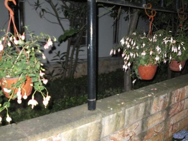 Name:  DSCF9150.jpg
Views: 253
Size:  49.2 KB