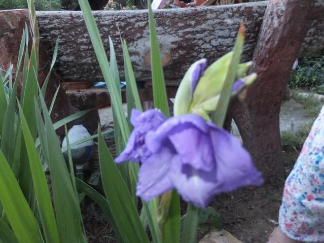 Name:  DSCF9180.jpg
Views: 284
Size:  49.7 KB