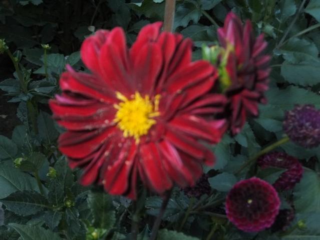 Name:  DSCF9186.jpg
Views: 261
Size:  35.9 KB