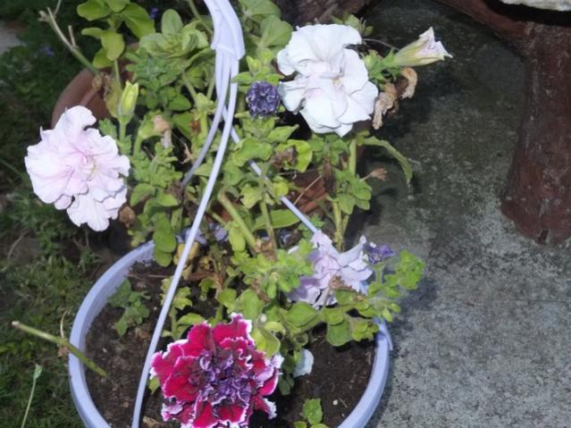 Name:  DSCF9212.jpg
Views: 241
Size:  58.2 KB