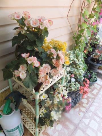 Name:  DSCF9335.jpg
Views: 325
Size:  33.6 KB