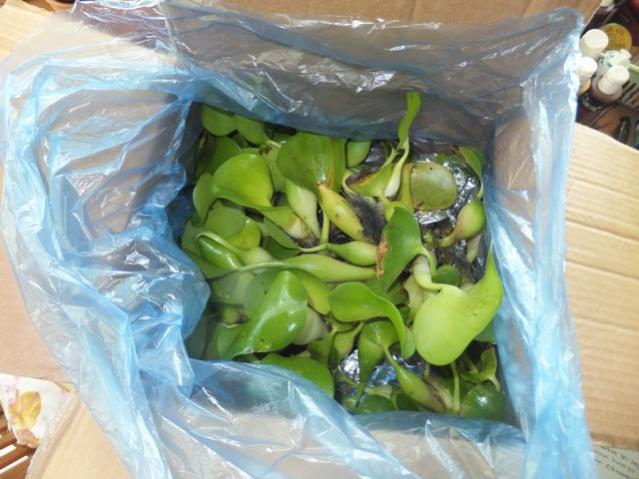 Name:  DSCF9371.jpg
Views: 307
Size:  47.2 KB