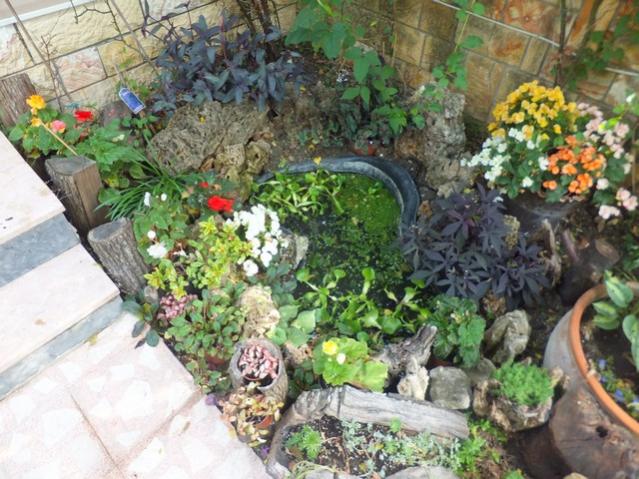 Name:  DSCF9482.jpg
Views: 341
Size:  67.7 KB