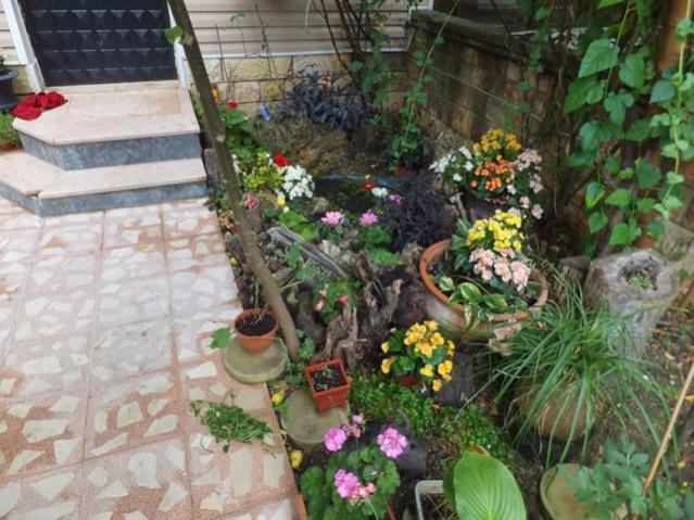 Name:  DSCF9400.jpg
Views: 306
Size:  62.1 KB