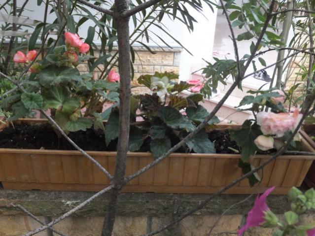 Name:  DSCF9428.jpg
Views: 263
Size:  57.6 KB