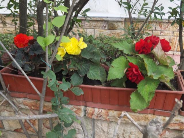 Name:  DSCF9430.jpg
Views: 288
Size:  56.5 KB