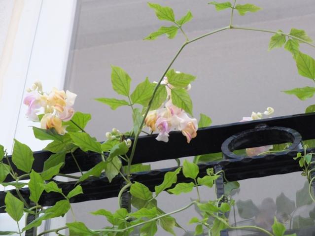 Name:  DSCF2321.jpg
Views: 766
Size:  37.2 KB
