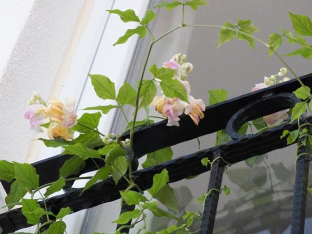 Name:  DSCF2320.jpg
Views: 435
Size:  41.2 KB