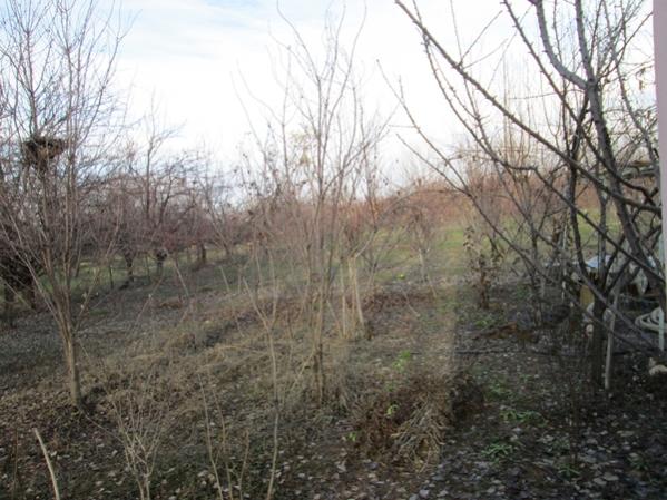 Name:  IMG_0247.jpg
Views: 1785
Size:  55.3 KB