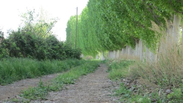 Name:  IMG_0518.jpg
Views: 1826
Size:  38.3 KB