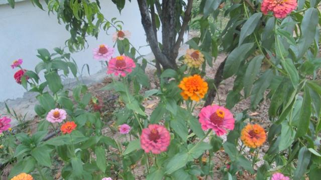 Name:  IMG_1376.jpg
Views: 1735
Size:  43.8 KB