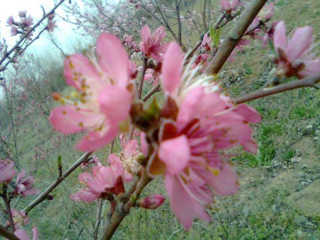 Name:  Grnt0611.jpg
Views: 1674
Size:  58.3 KB