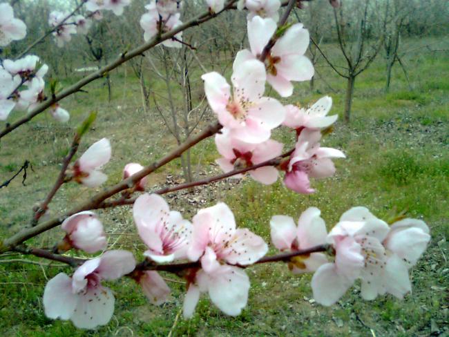 Name:  Grnt0612.jpg
Views: 1618
Size:  62.4 KB