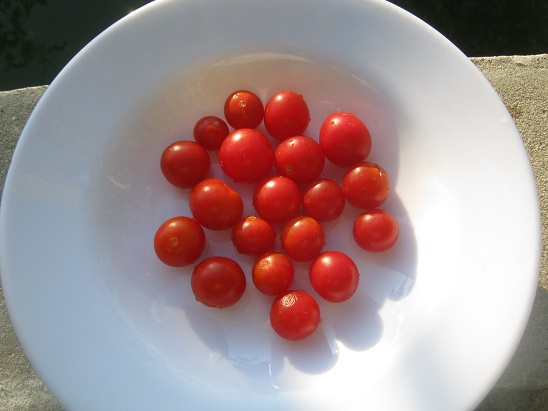 Name:  red robin.jpg
Views: 1212
Size:  63.4 KB