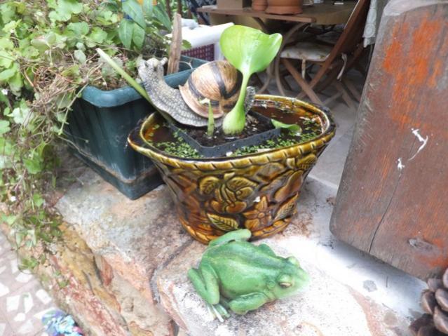 Name:  DSCF9475.jpg
Views: 310
Size:  59.2 KB