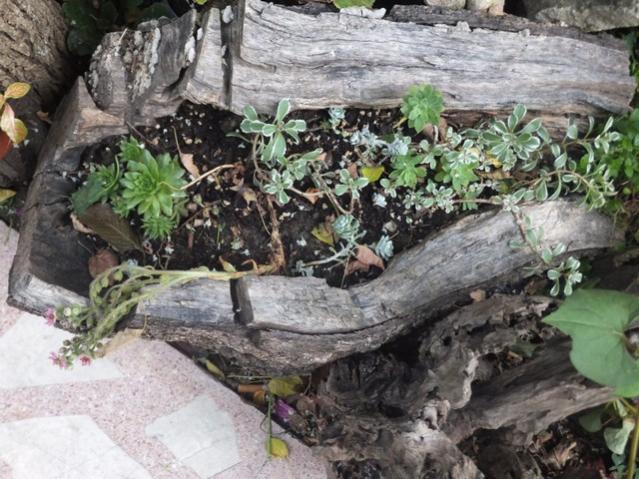 Name:  DSCF9485.jpg
Views: 293
Size:  66.0 KB