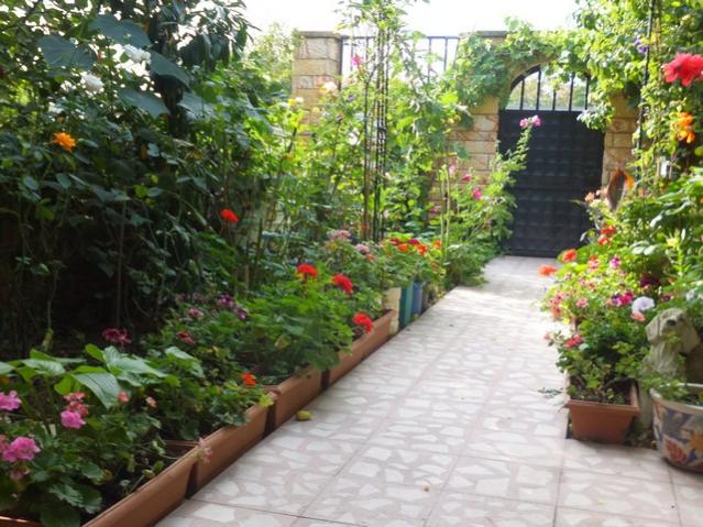 Name:  DSCF9492.jpg
Views: 315
Size:  66.4 KB