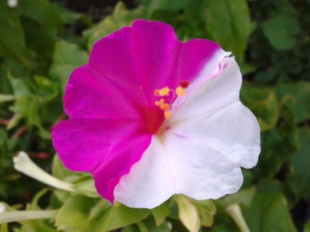 Name:  20130906_191532.jpg
Views: 481
Size:  29.5 KB