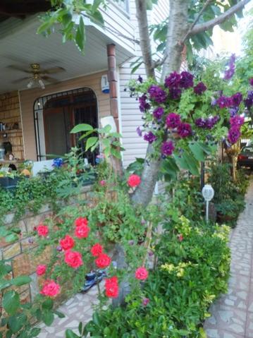 Name:  DSCF9623.jpg
Views: 231
Size:  40.6 KB