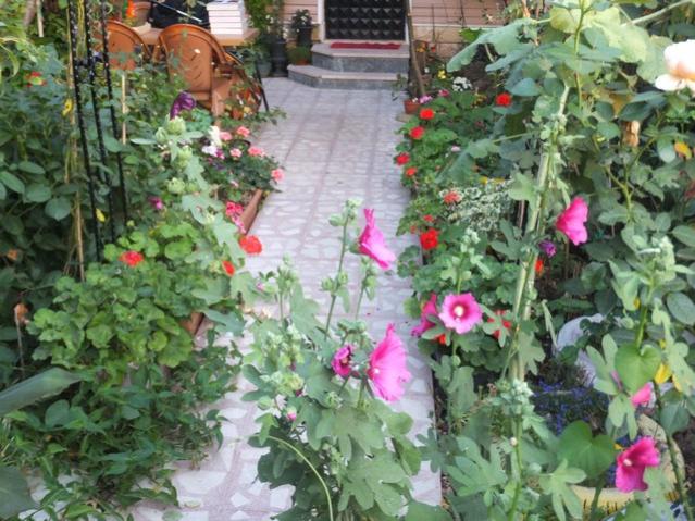 Name:  DSCF9790.jpg
Views: 324
Size:  67.6 KB