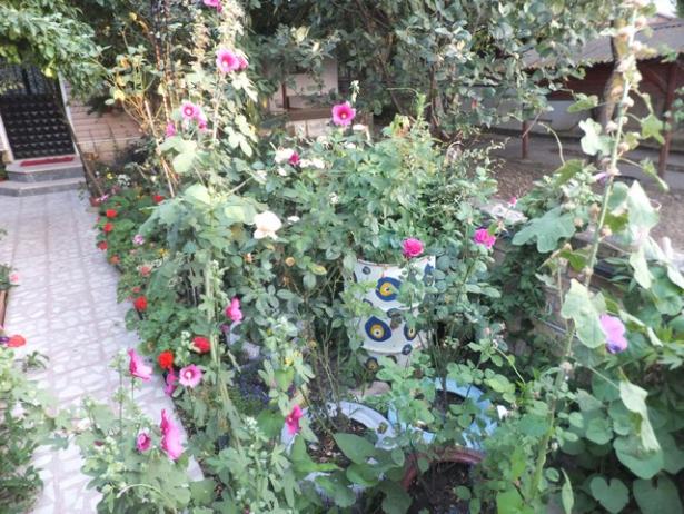 Name:  DSCF9793.jpg
Views: 344
Size:  72.0 KB