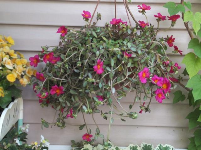 Name:  DSCF9944.jpg
Views: 294
Size:  51.1 KB