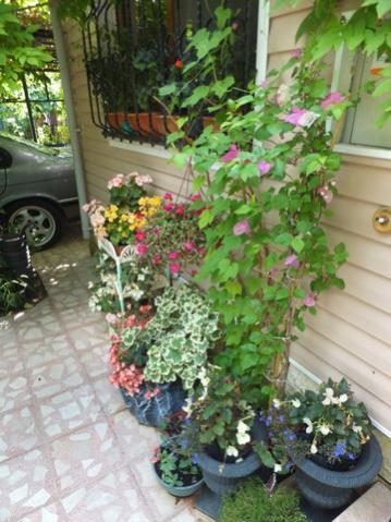 Name:  DSCF9973.jpg
Views: 272
Size:  38.7 KB
