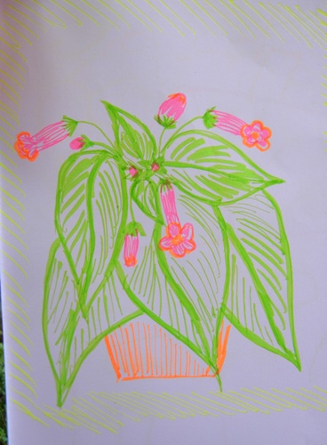 Name:  DSCN7959.JPG
Views: 786
Size:  67.2 KB