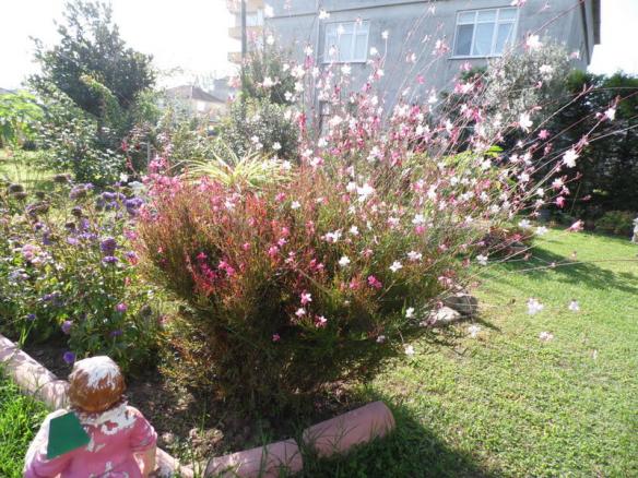 Name:  110-114.jpg
Views: 772
Size:  71.5 KB