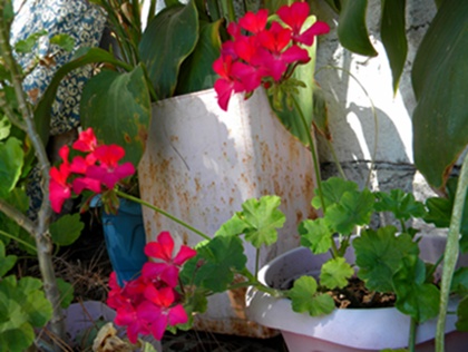 Name:  DSCN8018.JPG
Views: 820
Size:  66.3 KB