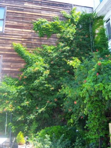 Name:  100_5368.jpg
Views: 195
Size:  44.2 KB