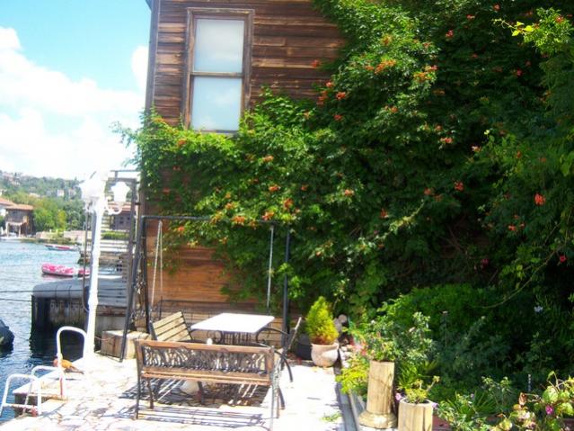 Name:  100_5369.jpg
Views: 188
Size:  64.7 KB