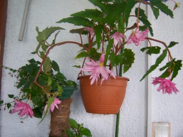 Name:  100_5391.jpg
Views: 169
Size:  47.8 KB