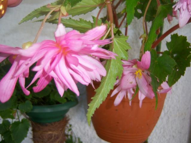 Name:  100_5392.jpg
Views: 164
Size:  40.5 KB