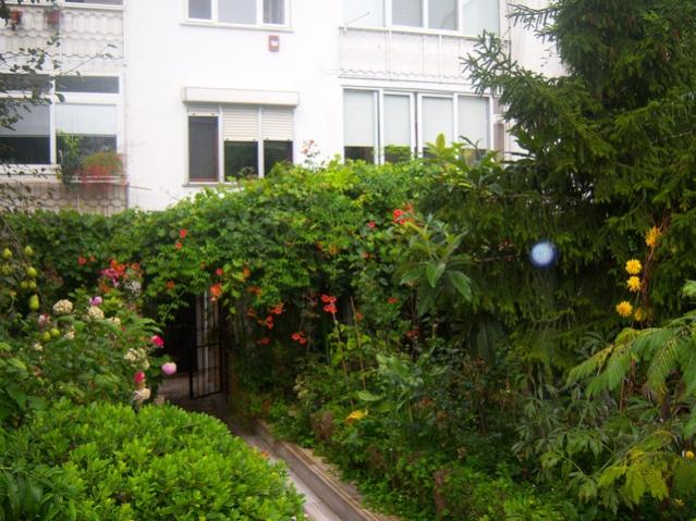 Name:  100_5394.jpg
Views: 171
Size:  62.1 KB