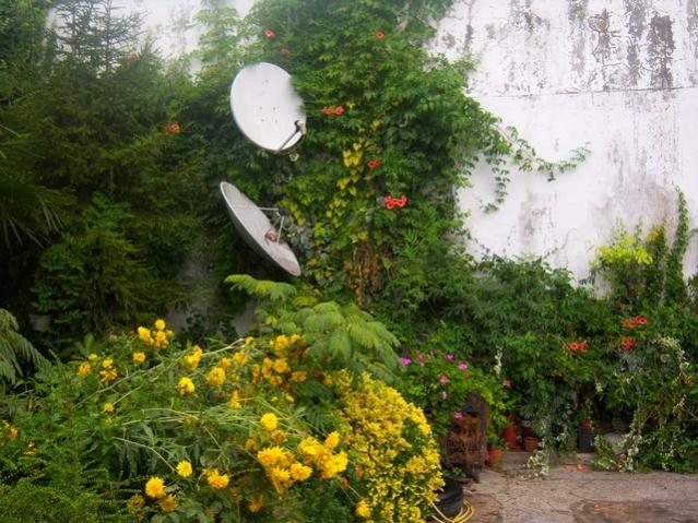 Name:  100_5395.jpg
Views: 153
Size:  68.6 KB