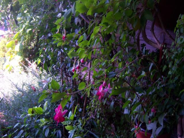 Name:  100_5411.jpg
Views: 165
Size:  64.8 KB