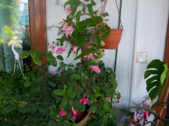 Name:  100_5423.jpg
Views: 368
Size:  50.2 KB