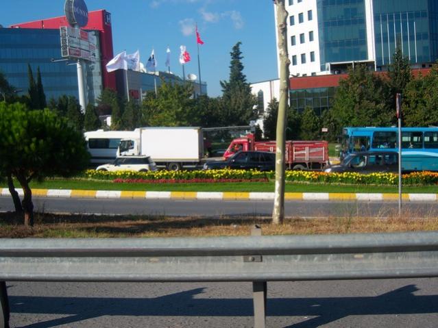 Name:  100_5432.jpg
Views: 327
Size:  53.5 KB