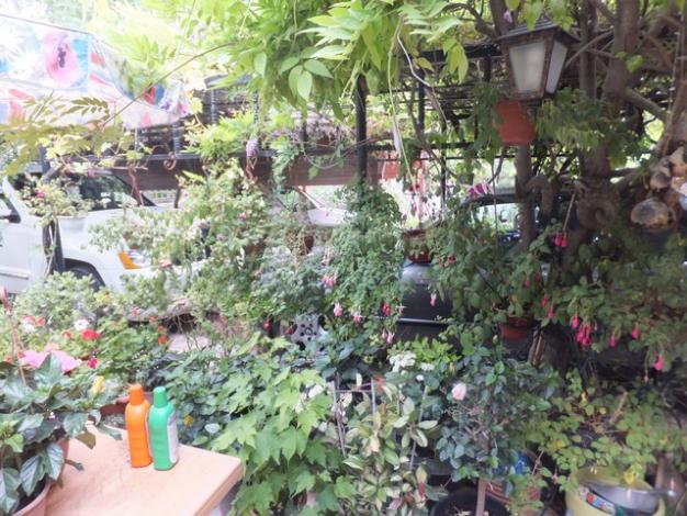 Name:  DSCF0029.jpg
Views: 350
Size:  71.8 KB
