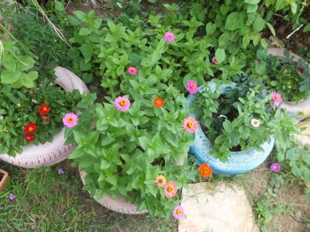 Name:  DSCF0043.jpg
Views: 339
Size:  68.8 KB