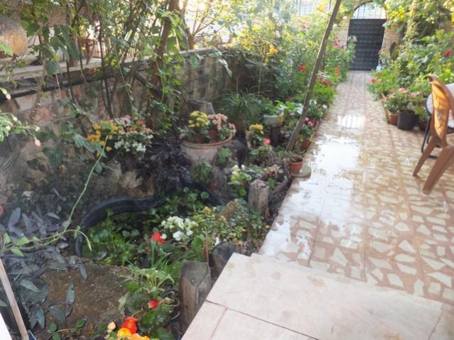 Name:  DSCF0049.jpg
Views: 327
Size:  62.5 KB