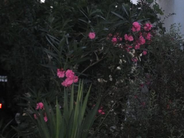 Name:  DSCF0114.jpg
Views: 520
Size:  36.1 KB