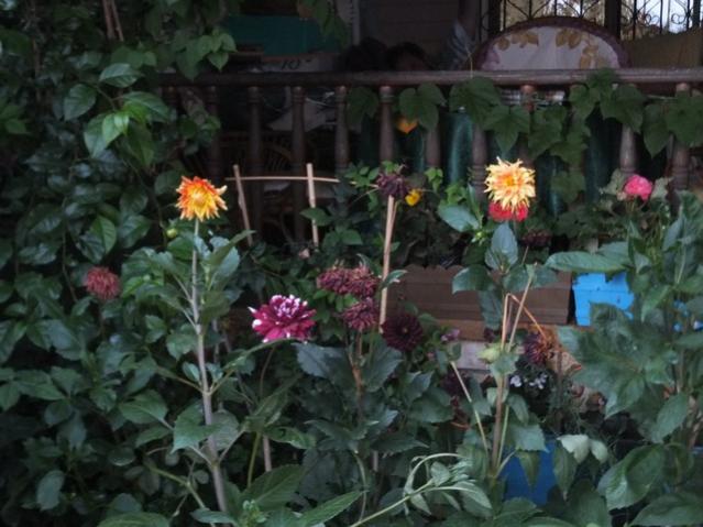 Name:  DSCF0142.jpg
Views: 294
Size:  48.0 KB