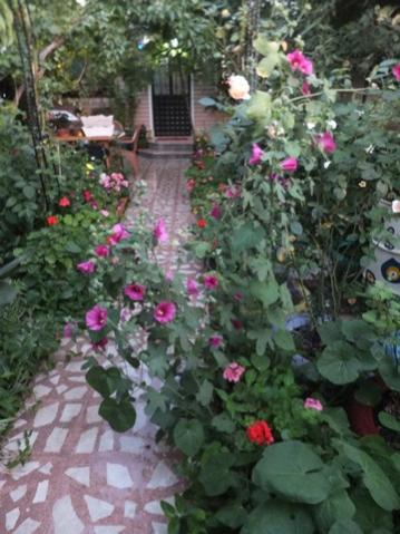 Name:  DSCF0259.jpg
Views: 246
Size:  36.8 KB