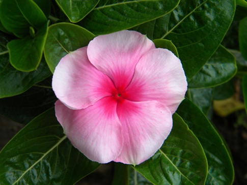 Name:  DSCN8214.JPG
Views: 560
Size:  66.7 KB