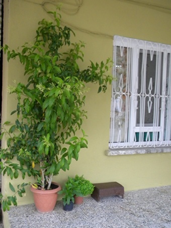 Name:  DSCN8220.JPG
Views: 534
Size:  67.0 KB