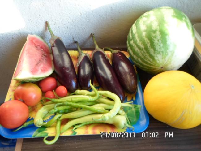 Name:  SAM_0240.jpg
Views: 549
Size:  43.1 KB