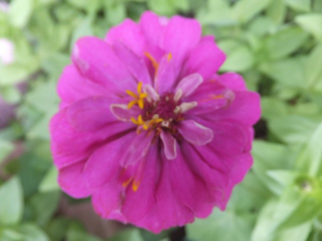 Name:  DSCF0324.jpg
Views: 301
Size:  52.9 KB